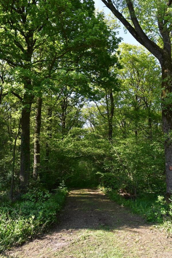 Jachthuis Au Bois Du Gheer Buitenkant foto